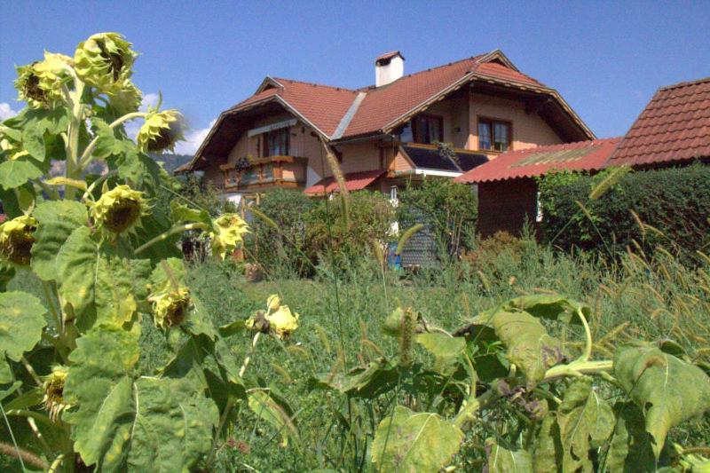 Riegersdorf Ferienwohnung Galerie 7 מראה חיצוני תמונה